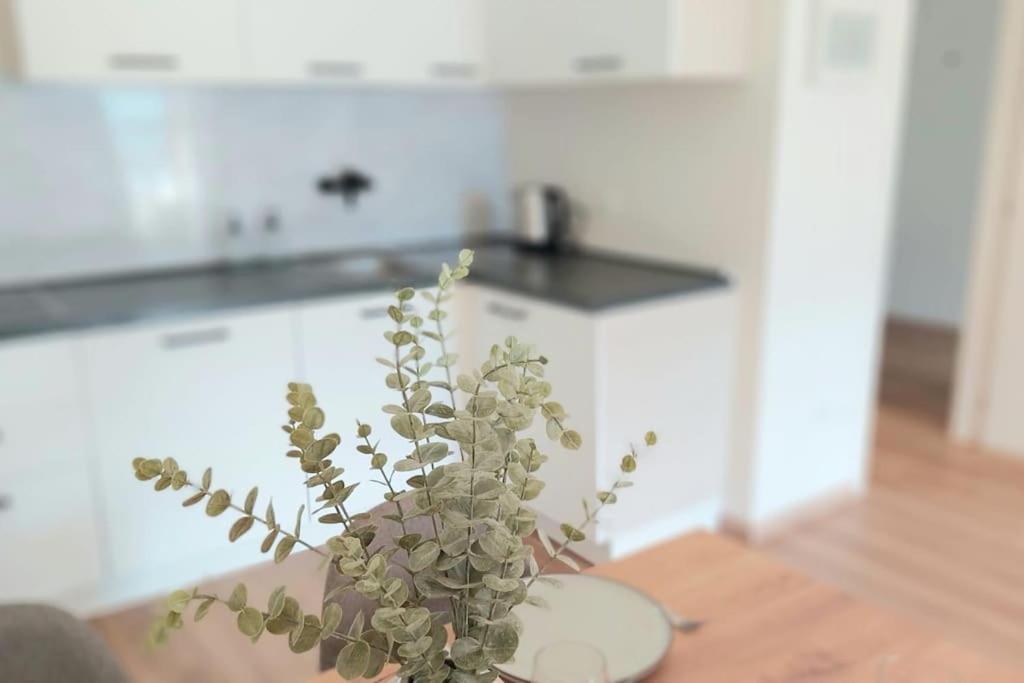 Renovated Flat Close To The Centre Merano Exterior foto